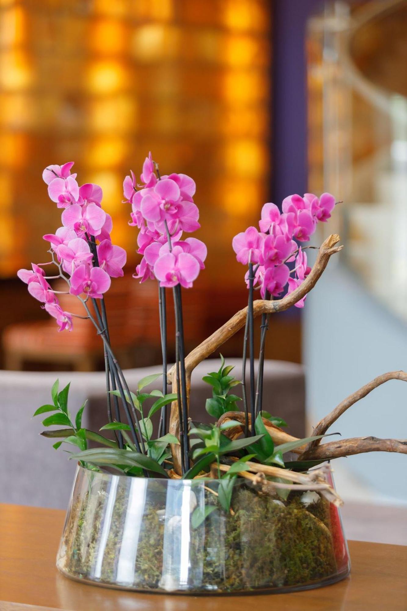 Hotel Camino Real Pedregal Mexico Zewnętrze zdjęcie Flower arrangement